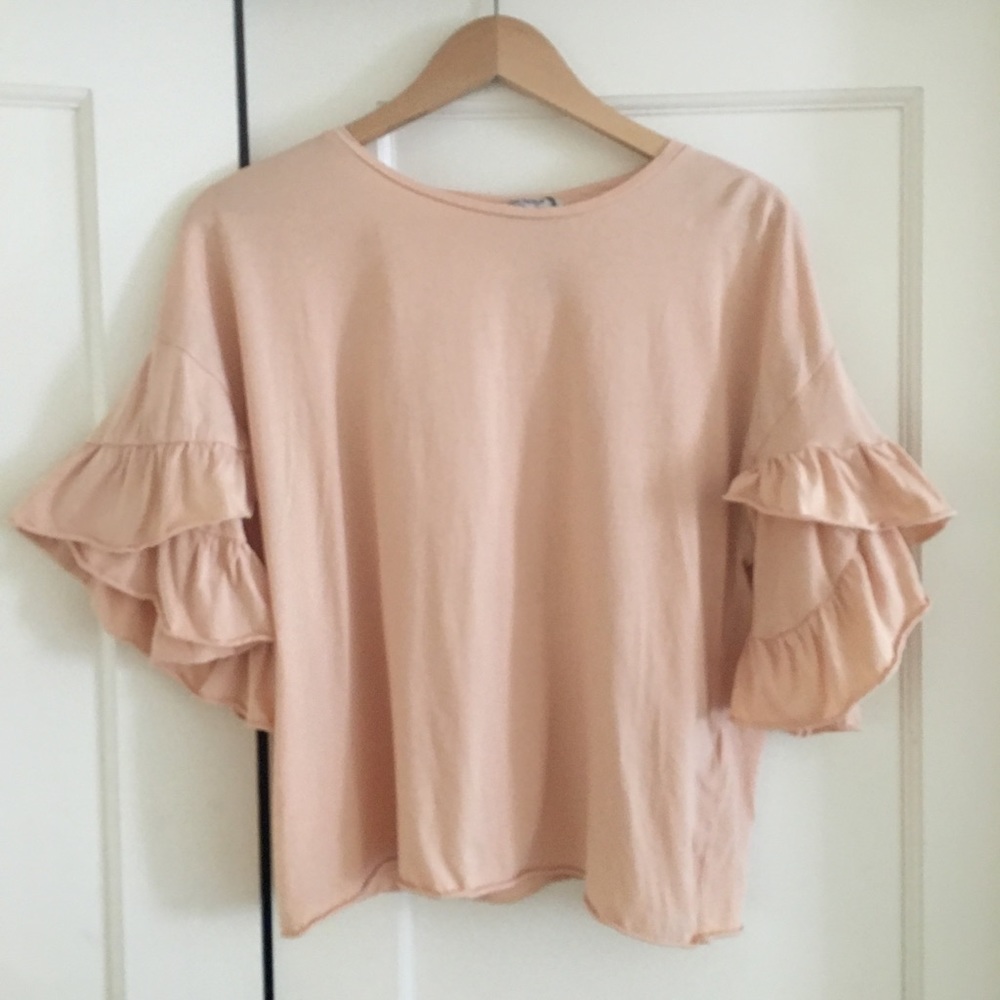 Zara Blush Pink Ruffle Sleeve Top Medium